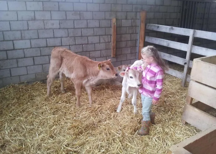 Bellezza - Bio By Interhome Apartment